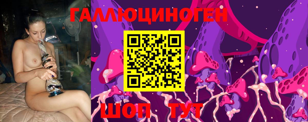 Узловая  Галлюциногенные грибы Psilocybe  Псилоцибиновые грибы ЛСД  Вход с VPN 