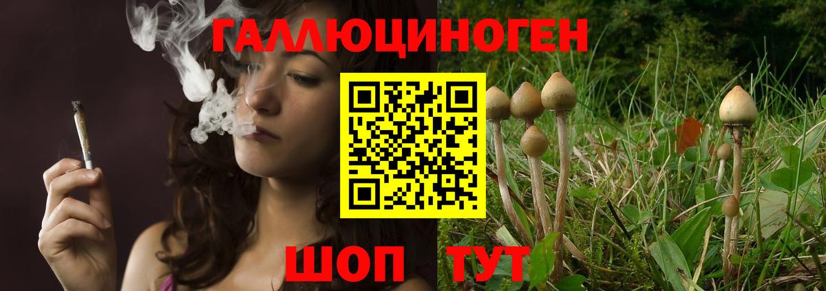 Галлюциногенные грибы MAGIC MUSHROOMS Узловая